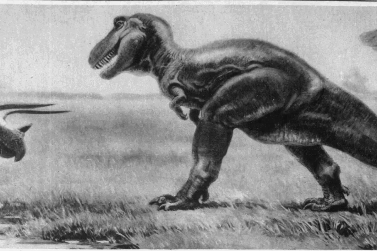 Life restoration of Triceratops in its Cretaceous environment